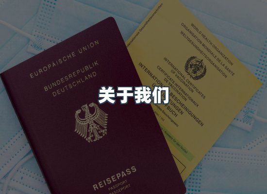 专业团队